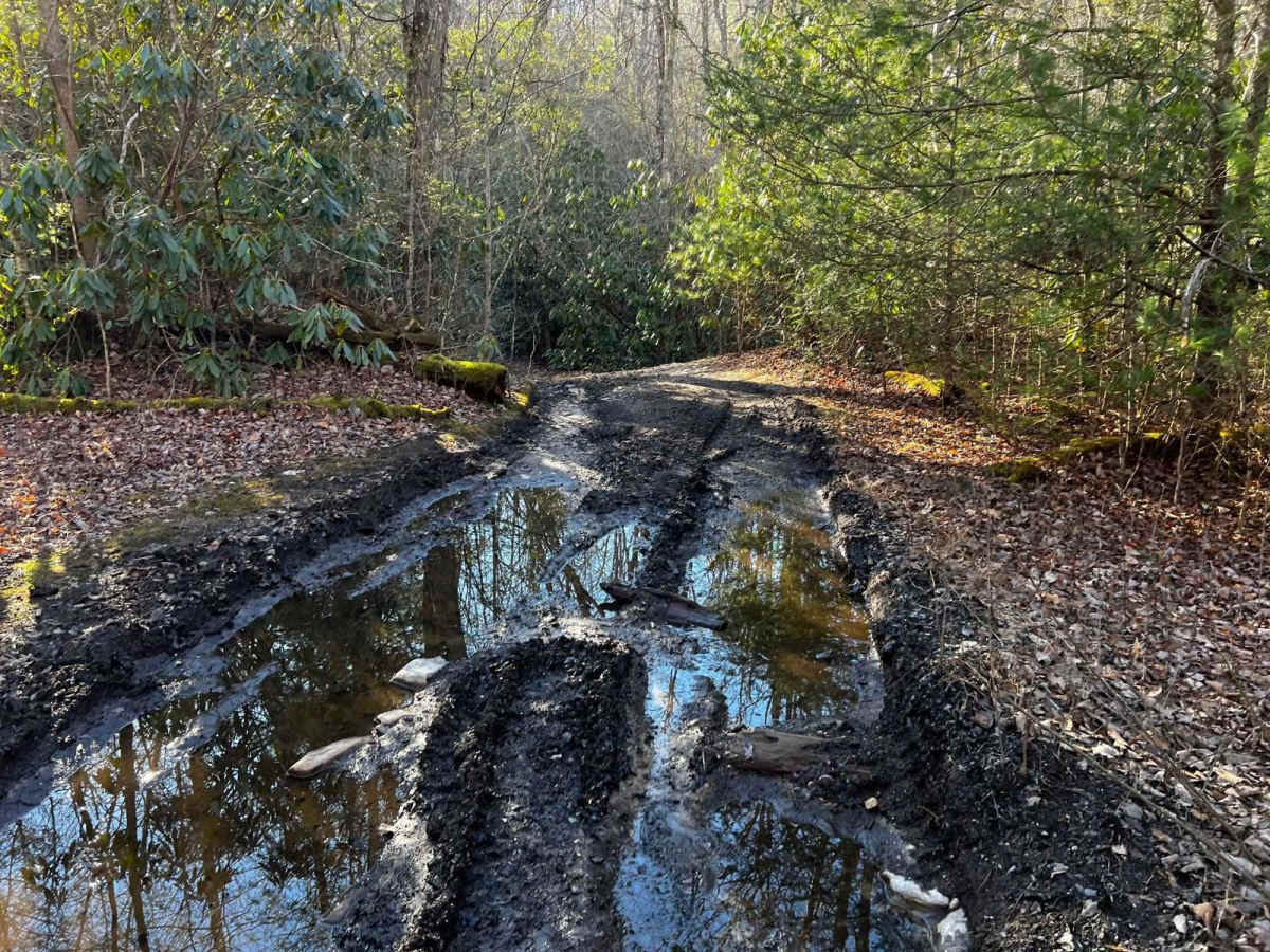 Dicks Creek to Dark Hollow (Unicoi to Erwin) photo 4
