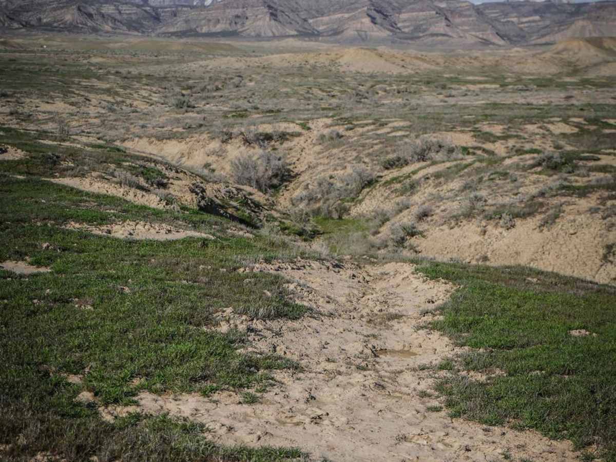 BLM Route 185 photo 4