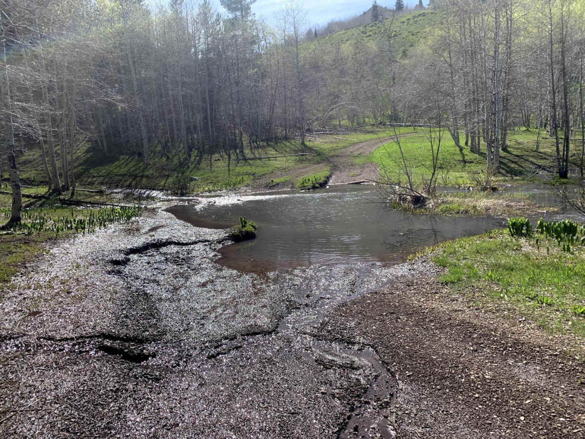 Wahlstrom Fork photo 3