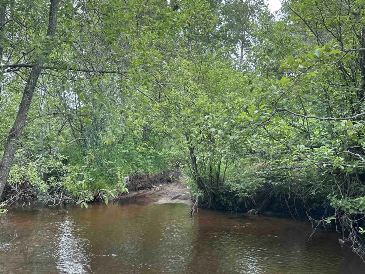 Ozark photo 2