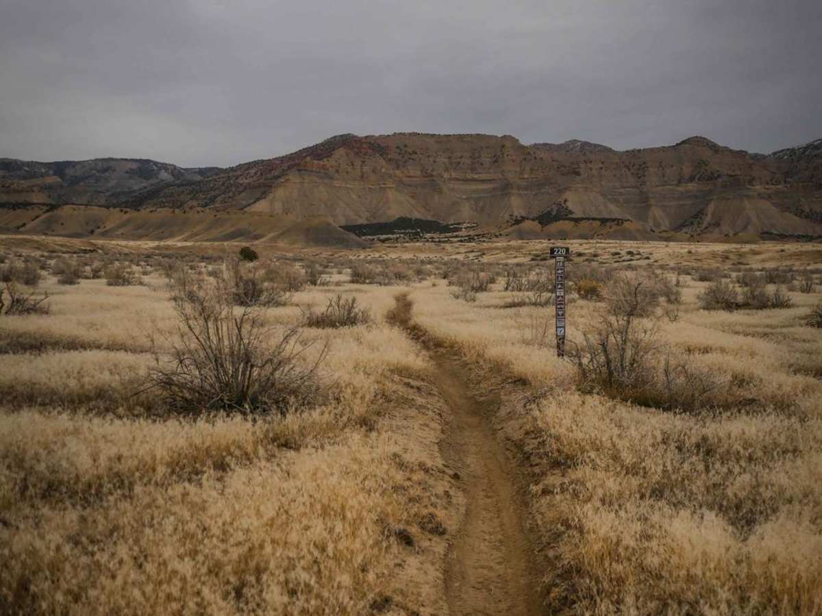 BLM Route 220 trail photo