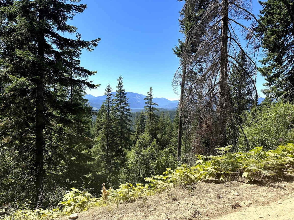 Entiat Ridge Trail photo 4