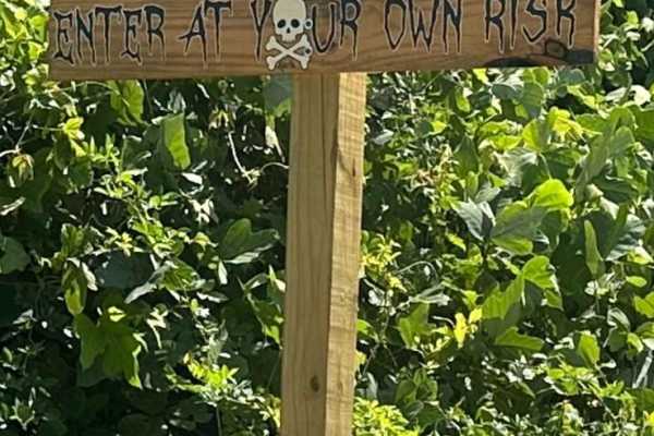 Welcome to the Jungle