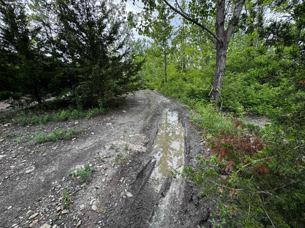 Green 176 trail photo