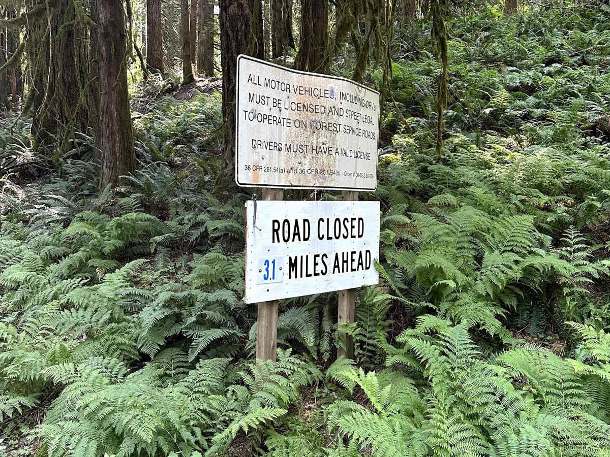 Nooksack River Trail photo 3