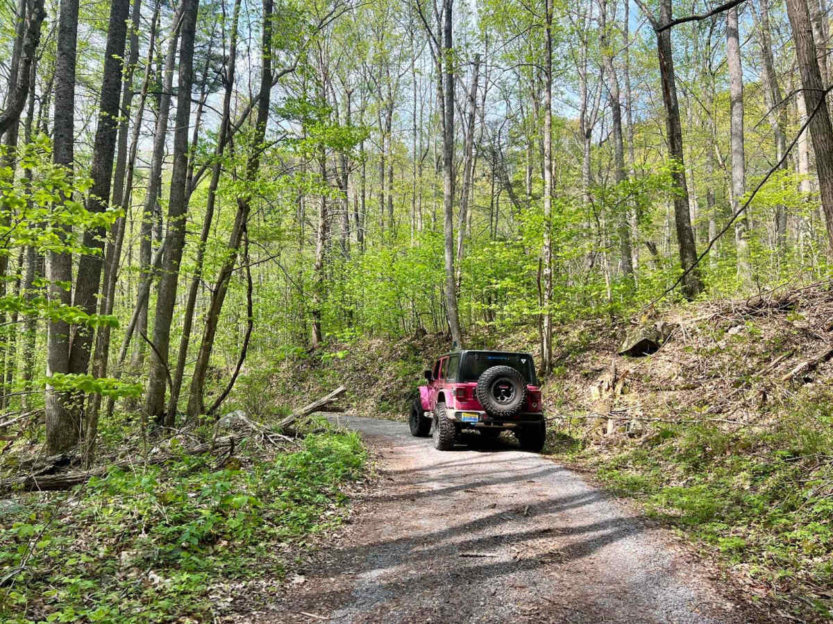 Fort Seybert Trail photo 4