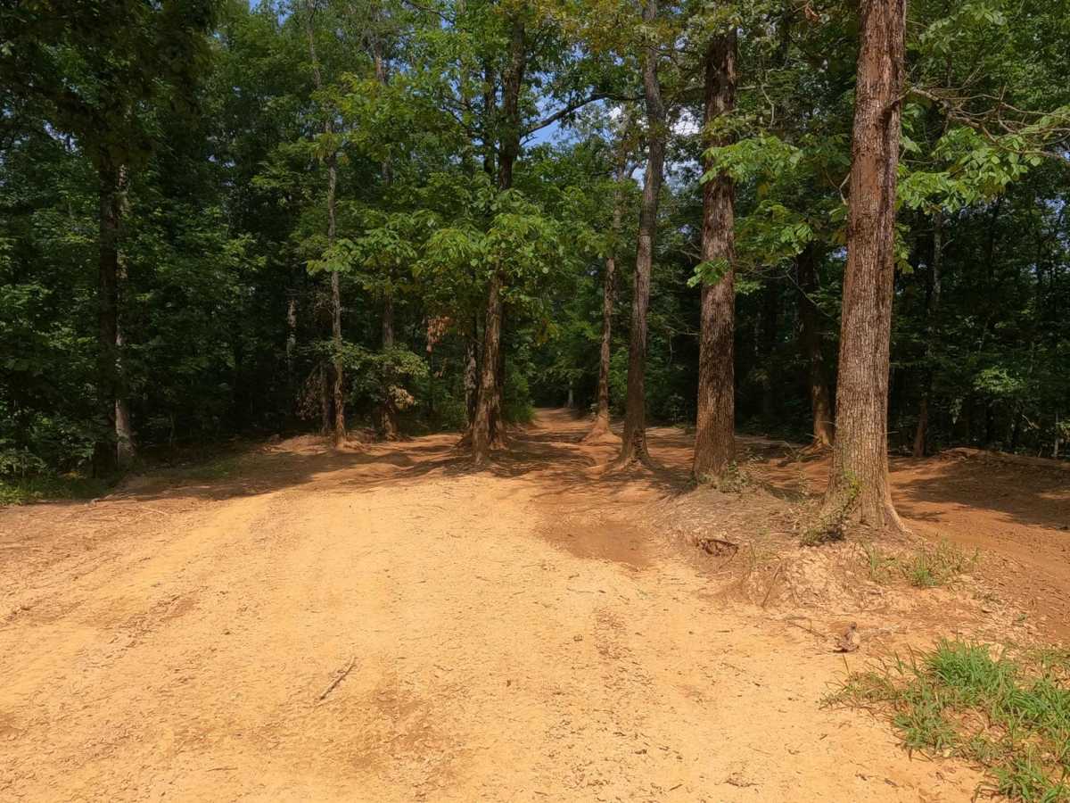 Silo Trail - 5 to B Road photo 4