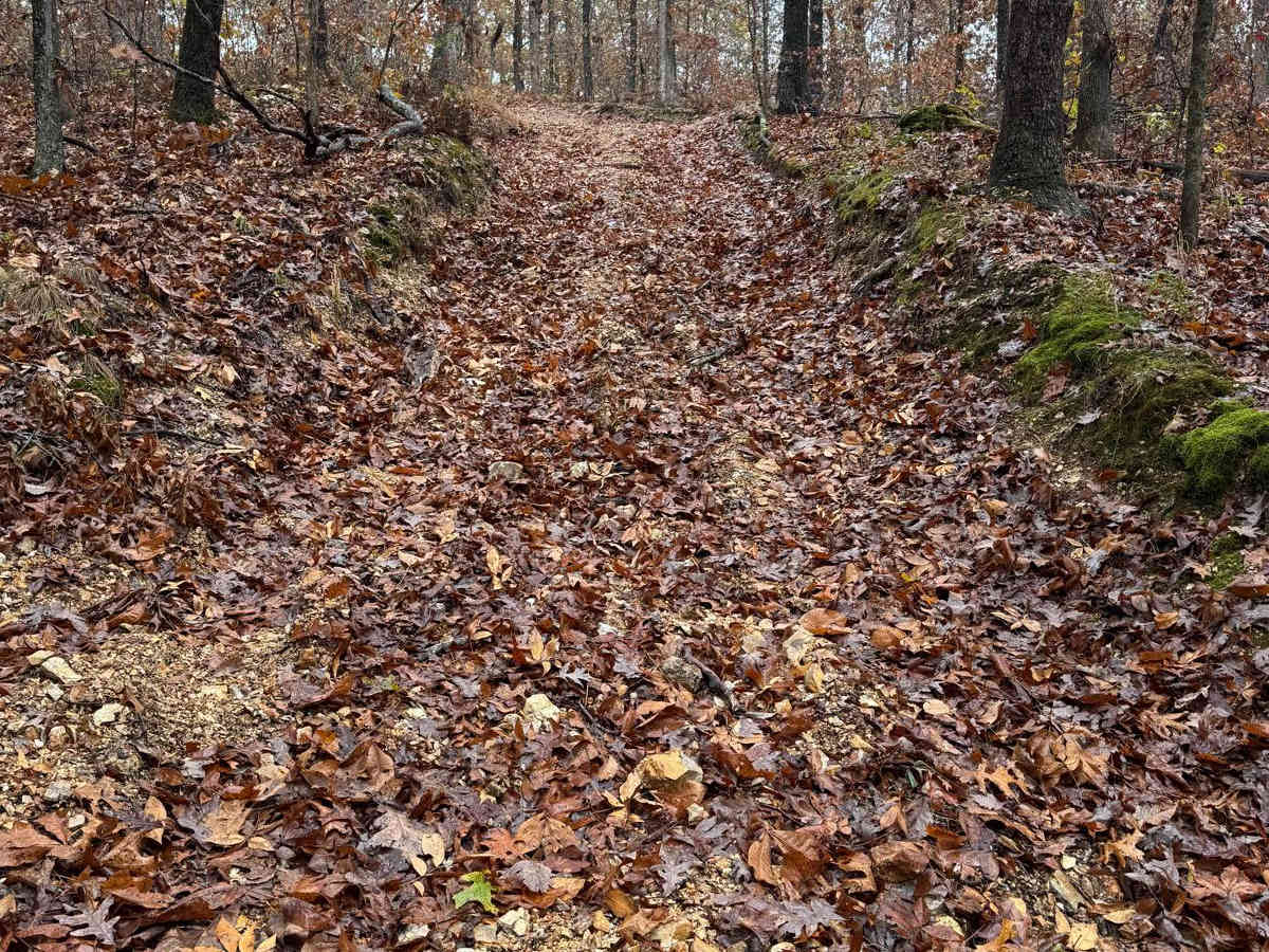 Marble Hill 91 photo 5