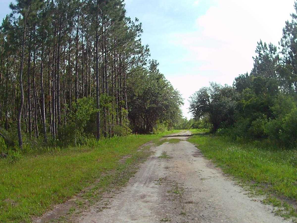 East Mainline photo 6