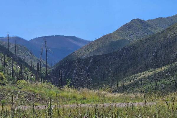 Bonita Lake South Fork Road