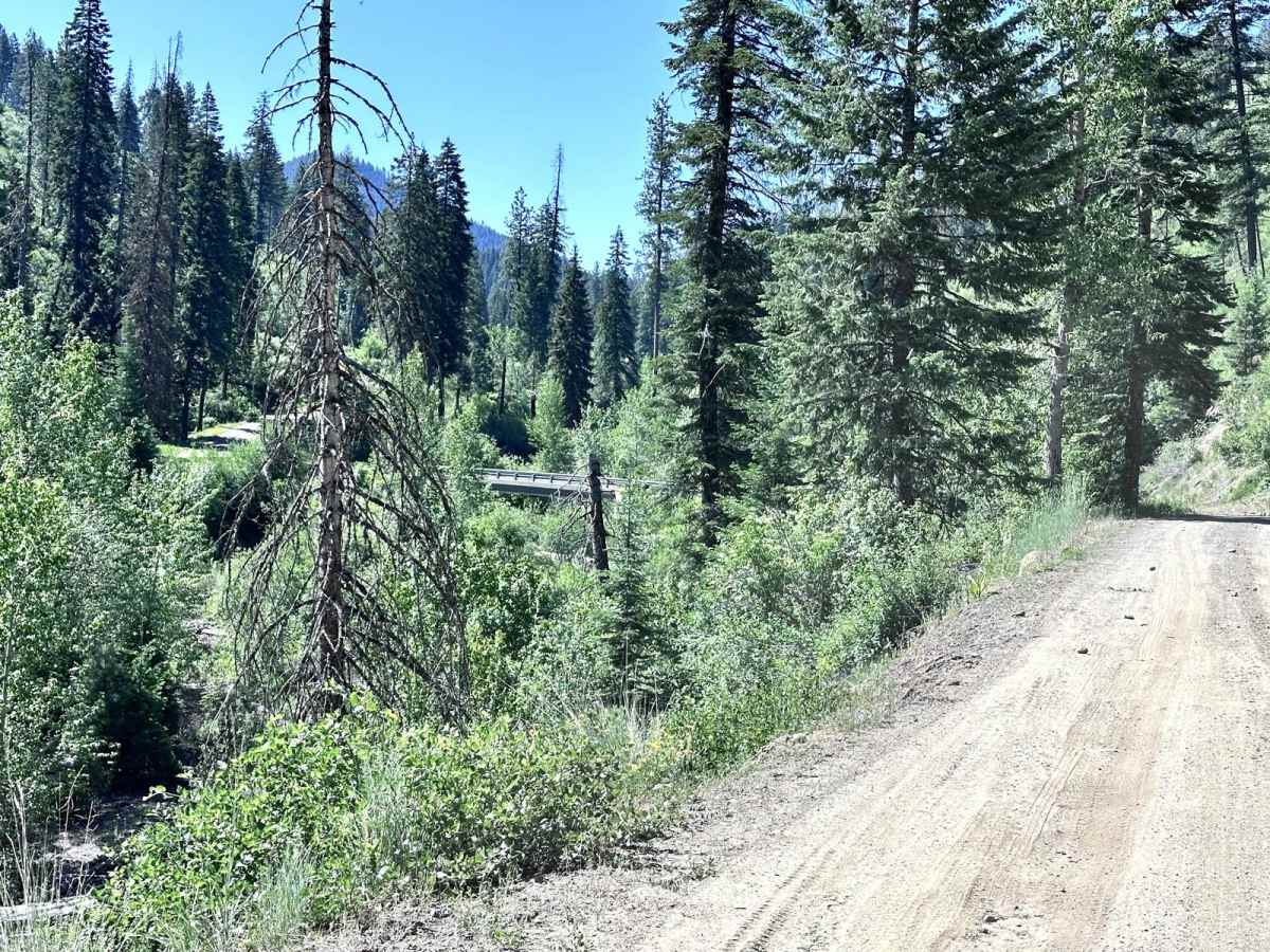 East Fork Weiser photo 4