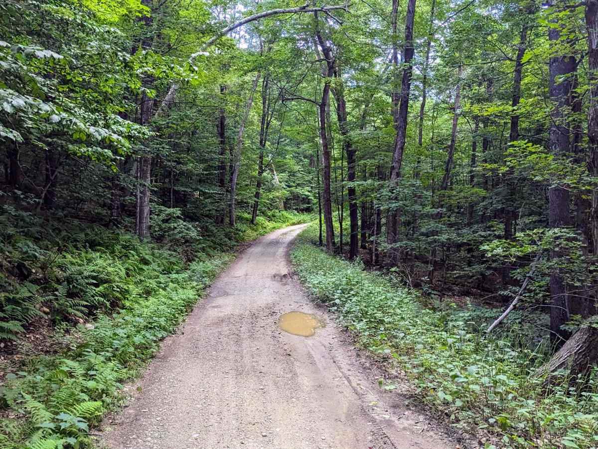 Monroe/ Raycroft Road photo 3