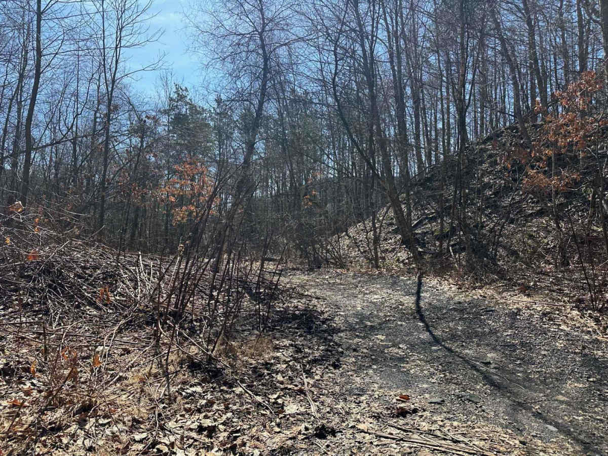 Ashland 173 photo 3