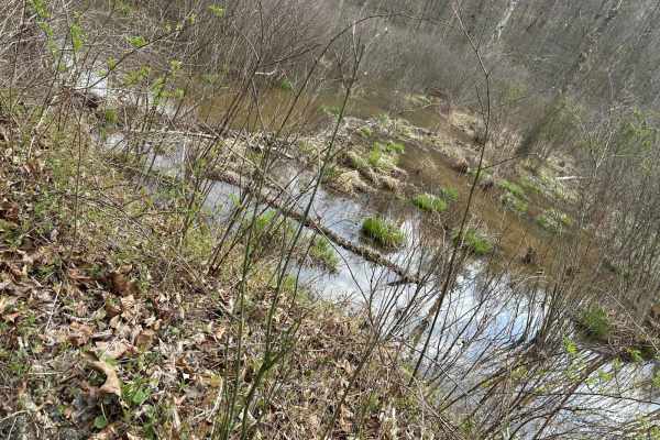 Rich Creek Connection