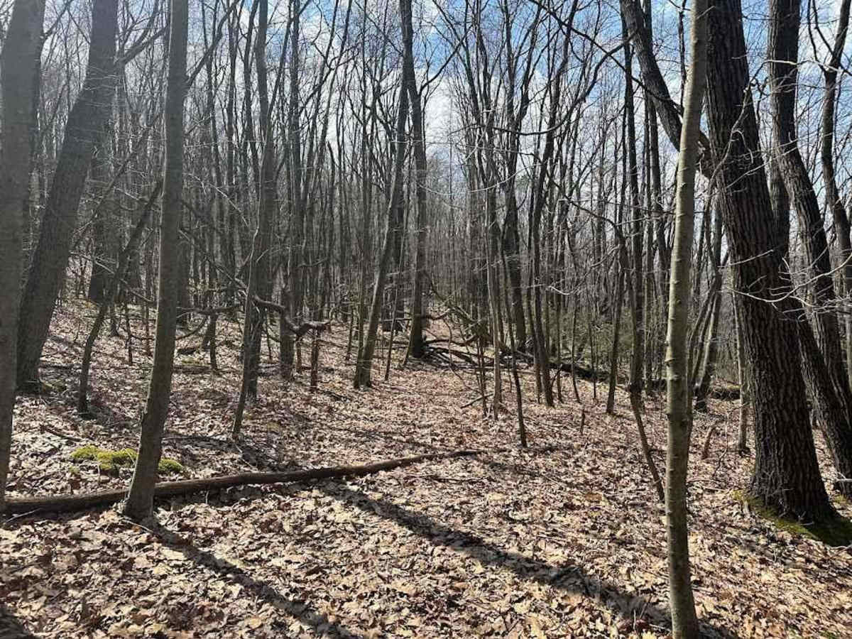Ashland 124 photo 6