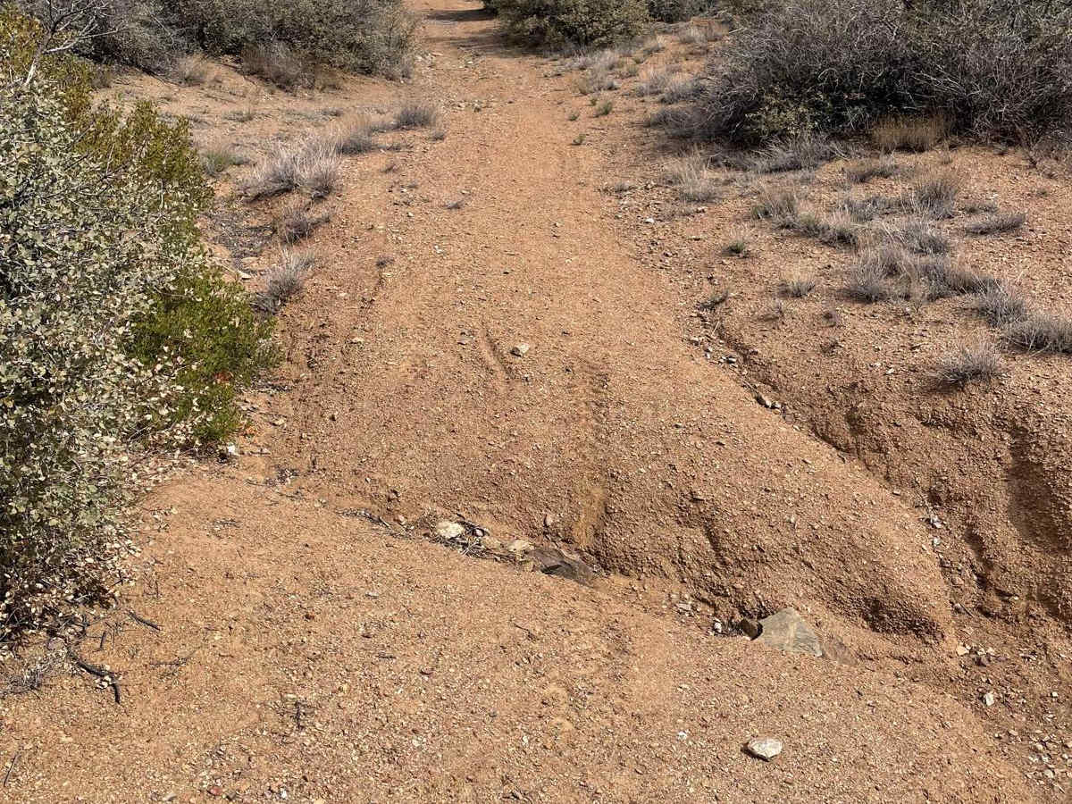 Big Bug & Ruts photo 6