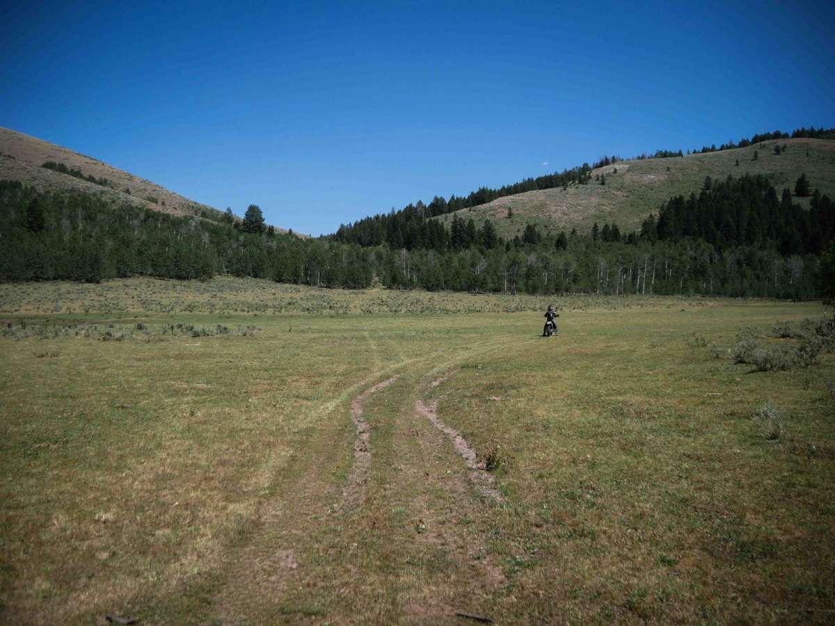 Petterson Canyon #5232 photo 2