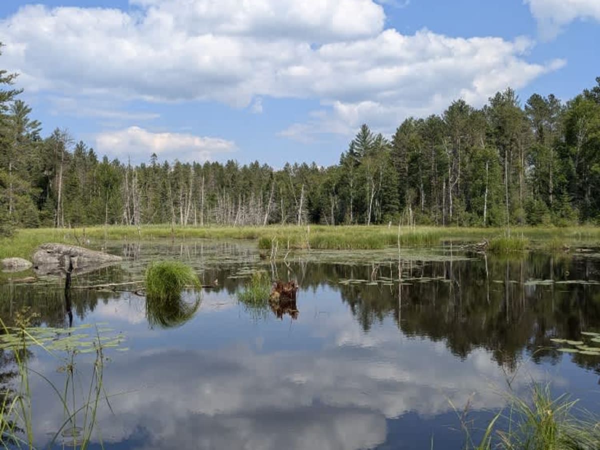 Keeley Creek photo 3