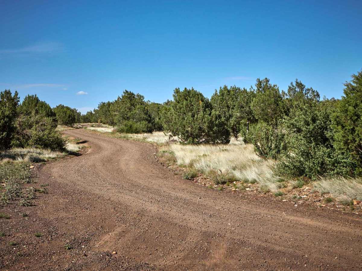 The Deuce trail photo