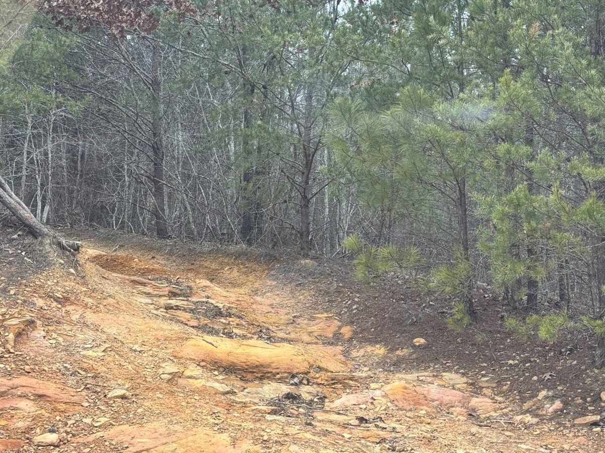 Little Moab Bypass trail photo