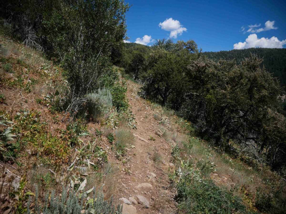 McPherson #3324 trail photo