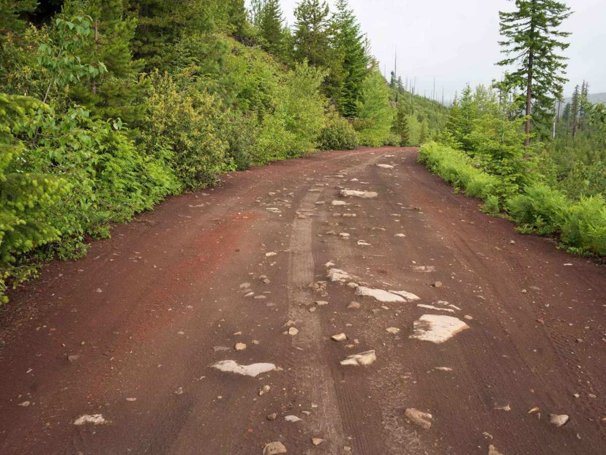 Island and Link Lakes photo 6
