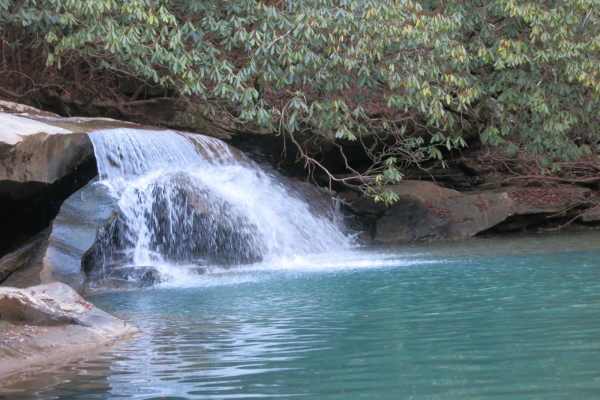 Trail 37 - Hickory Creek Trail