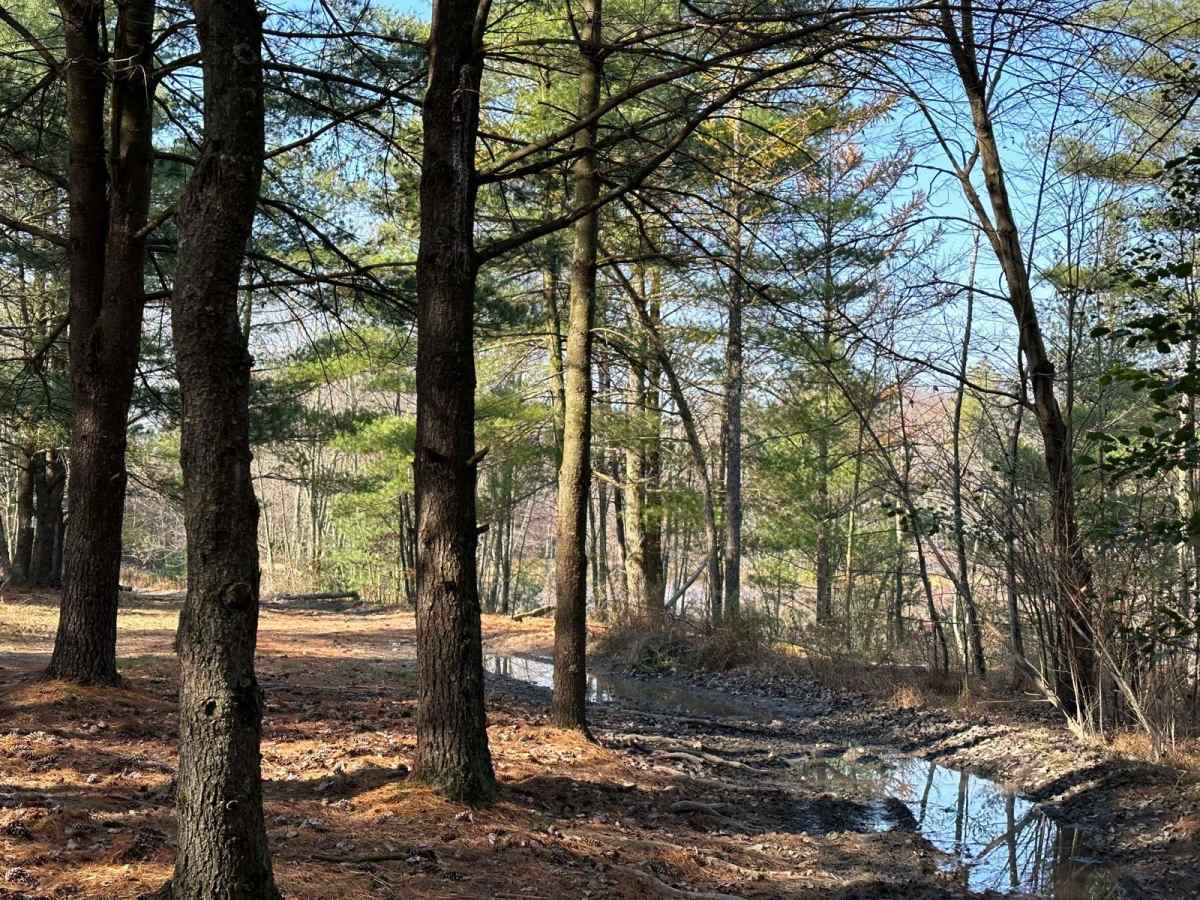 150A trail photo