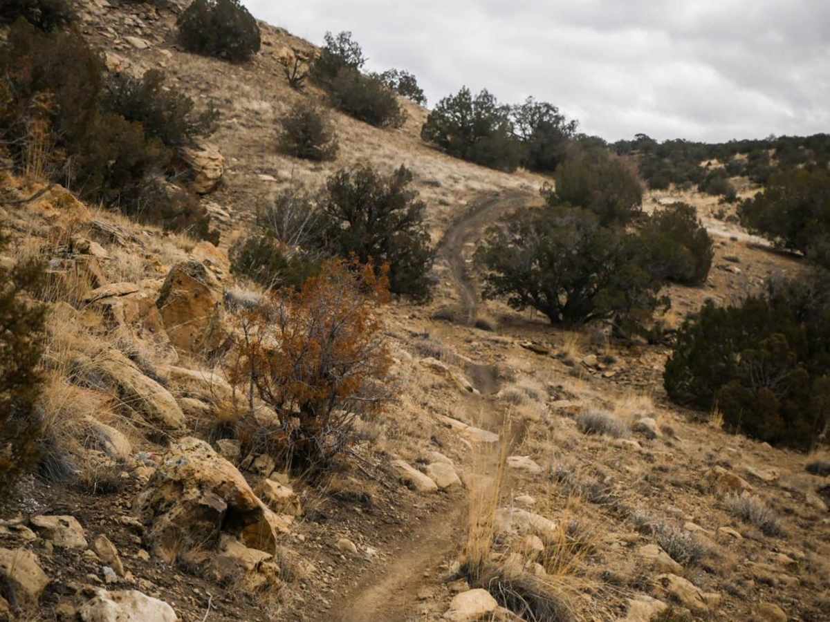 Zion Curtain Part 2 photo 5