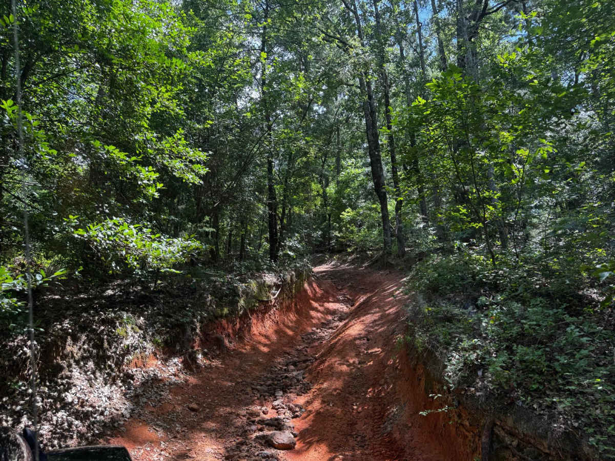 Greenlane photo 4