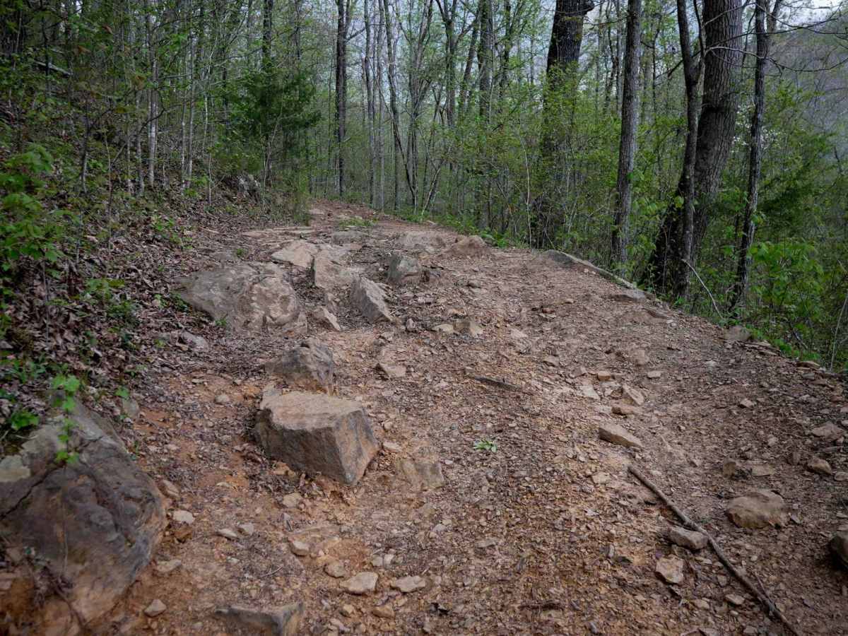 Gap Hollow Spur West photo 5