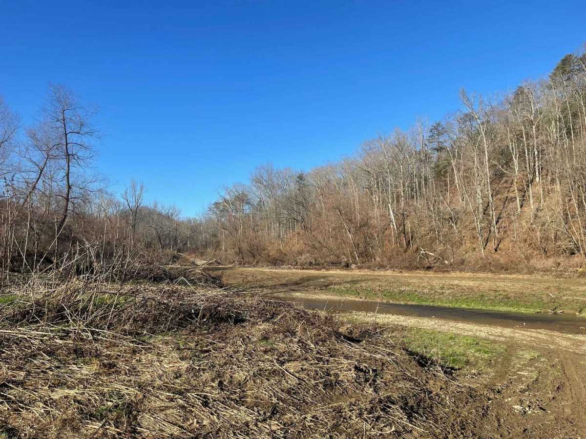 Oil Center WMA Main Via Ringgold Road photo 6