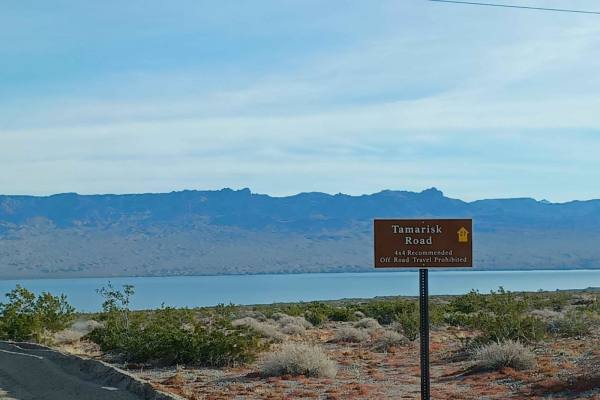 Tamarisk Road