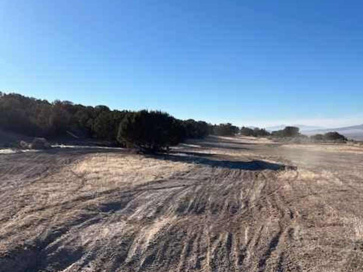 The Back 9 Turn Track photo 2