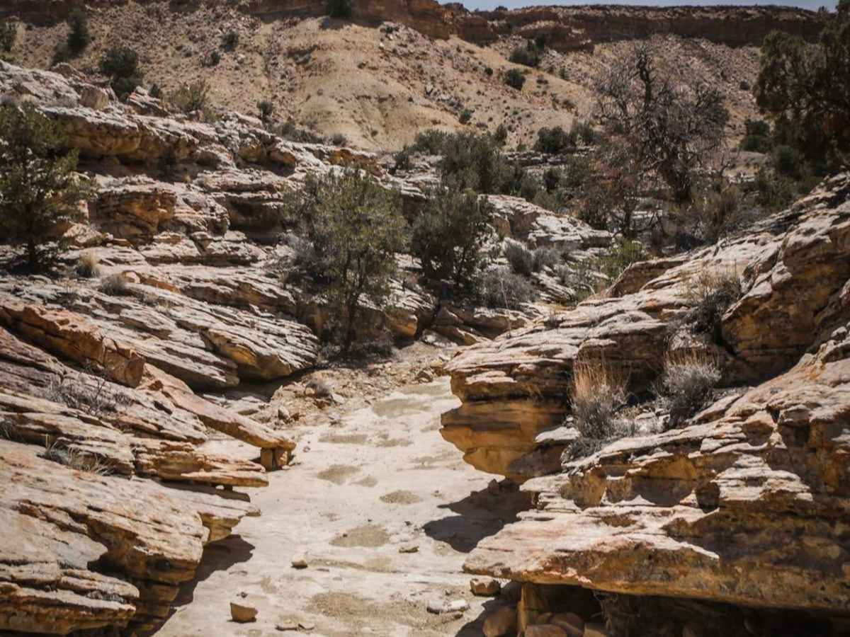 VJ Trail trail photo