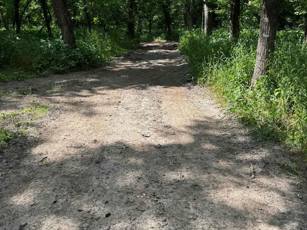 Green 77 trail photo