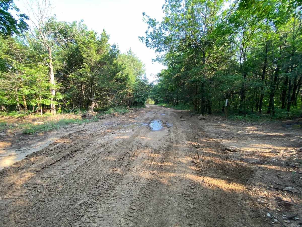 Main Loop photo 4