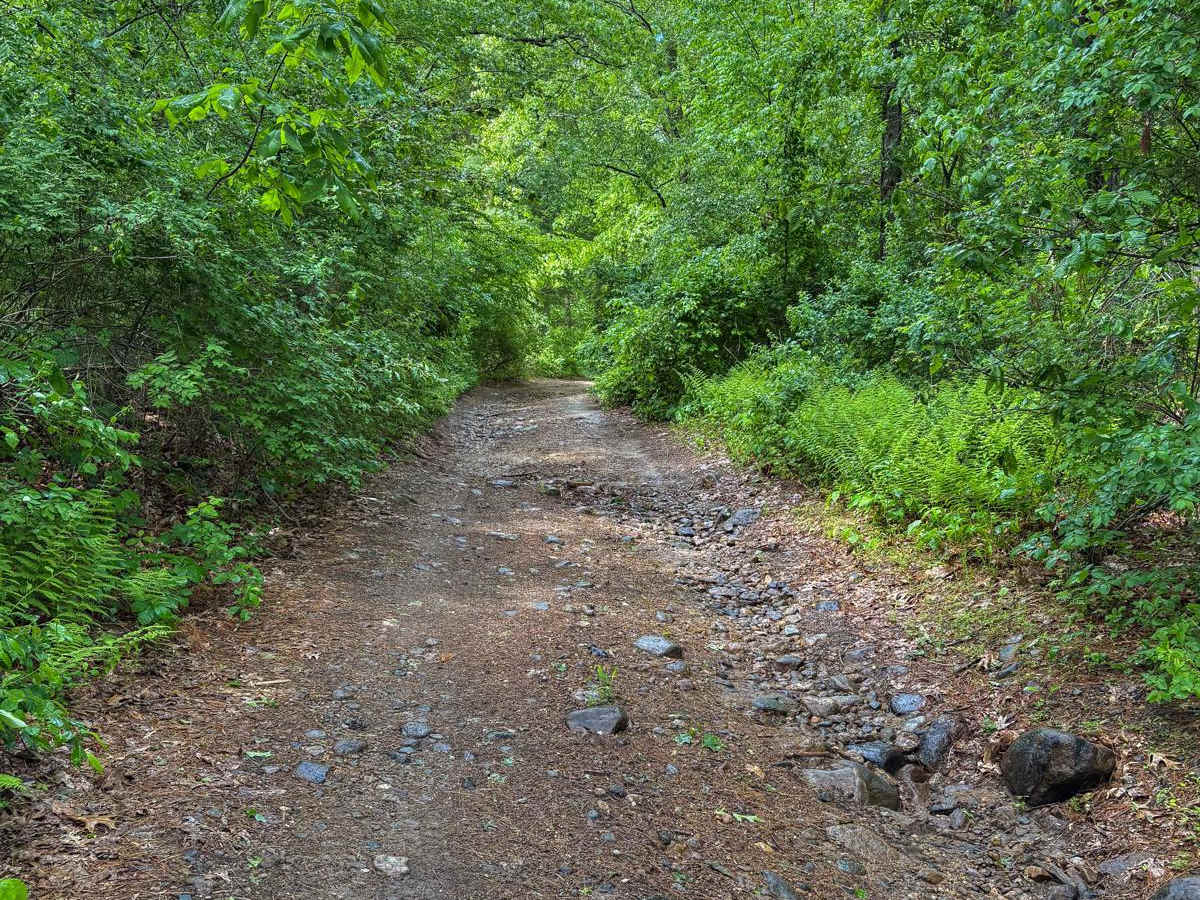 Miles Standish Road photo 4