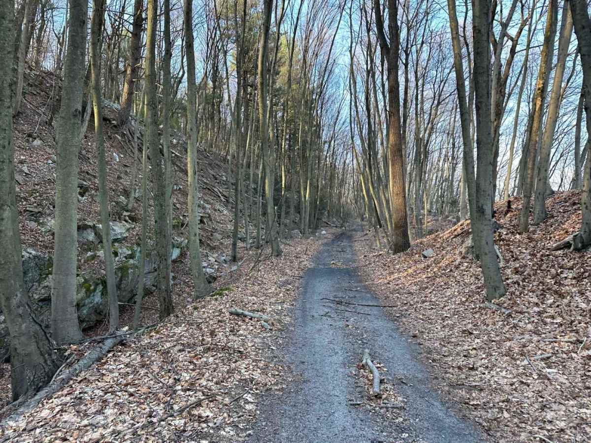 Tower City 20 trail photo