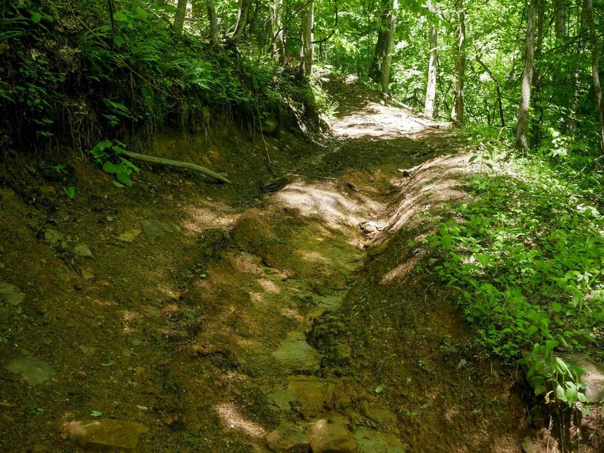 CC30 trail photo