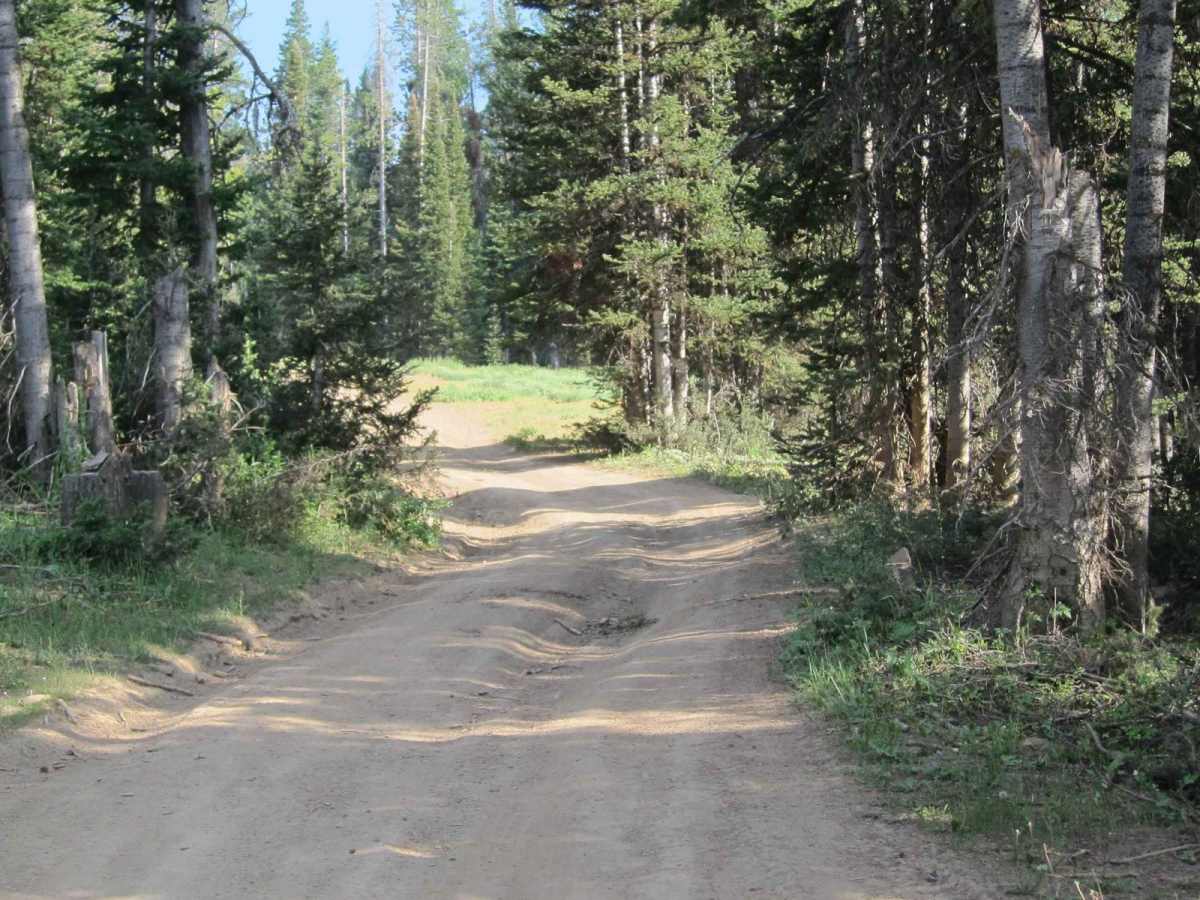 Old Logan Road photo 3