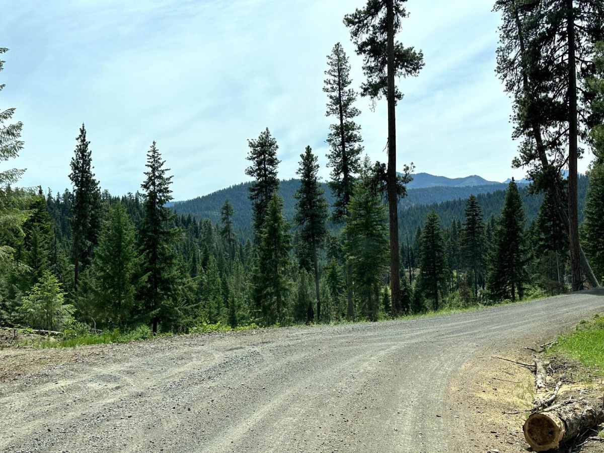 Quartz Creek Road photo 3