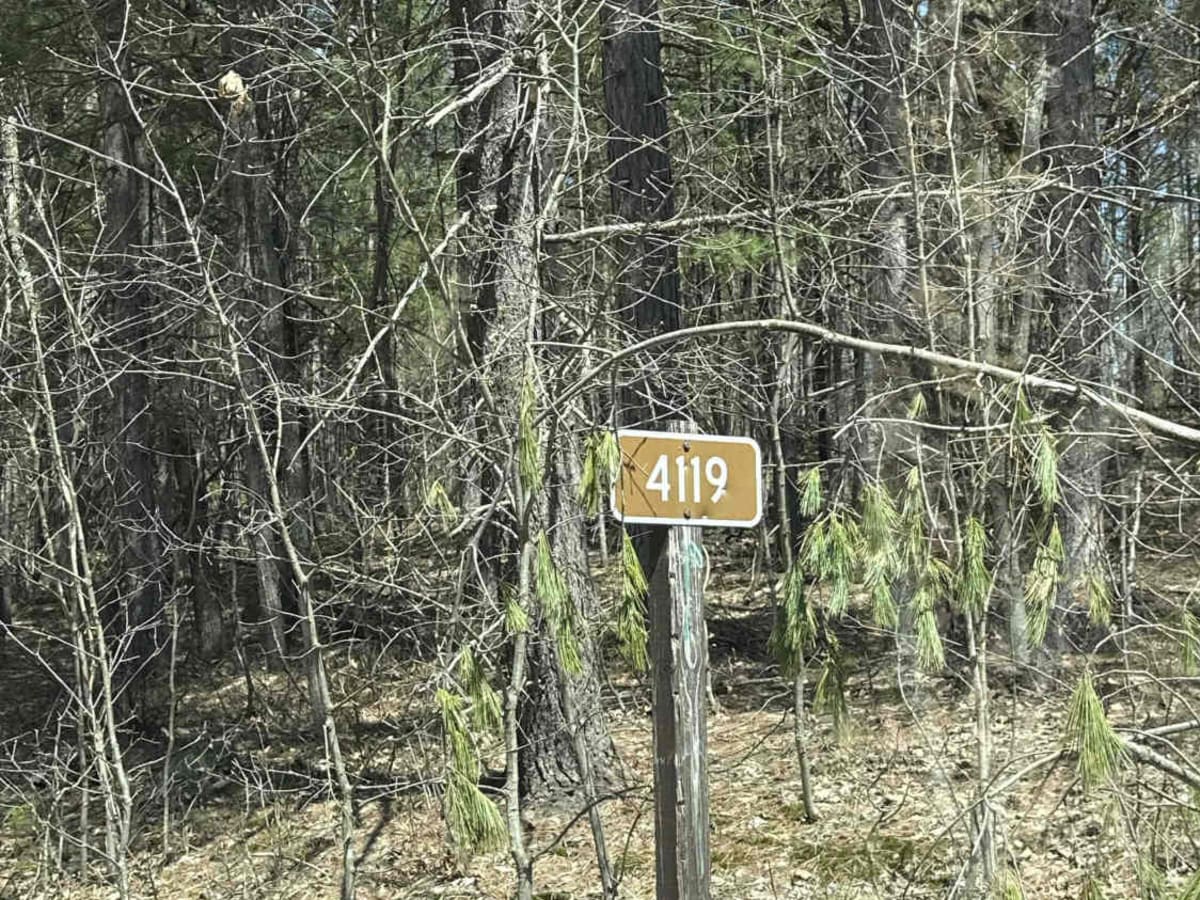 FS 4119 trail photo