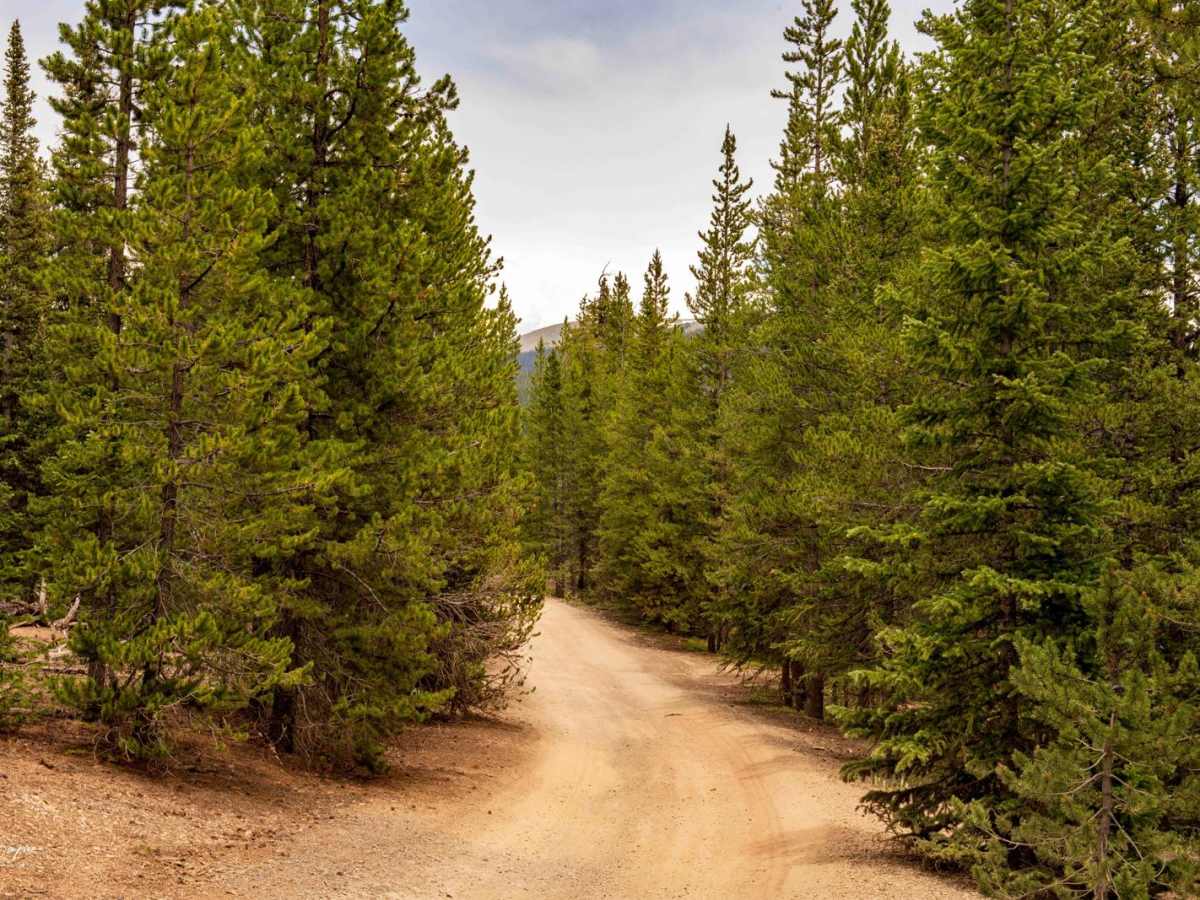 American Gulch Road - FR 567 photo 4
