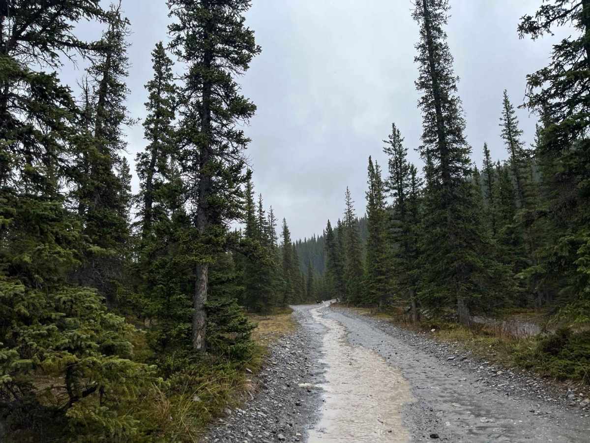 Waiparous Creek Road photo 5