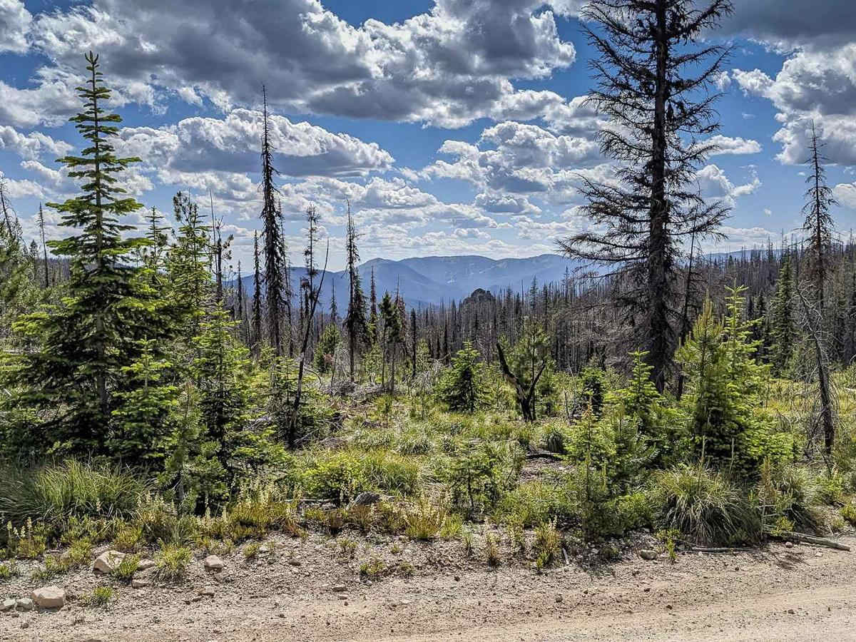 Granite Ridge Trail 239 photo 5