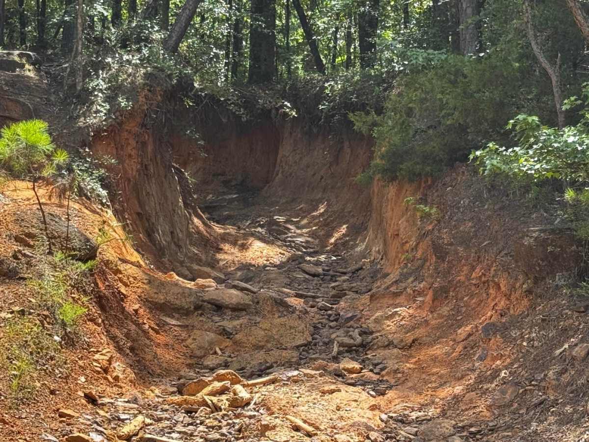 Louisiana Backroads (AKA Angry Jeep)  photo 3
