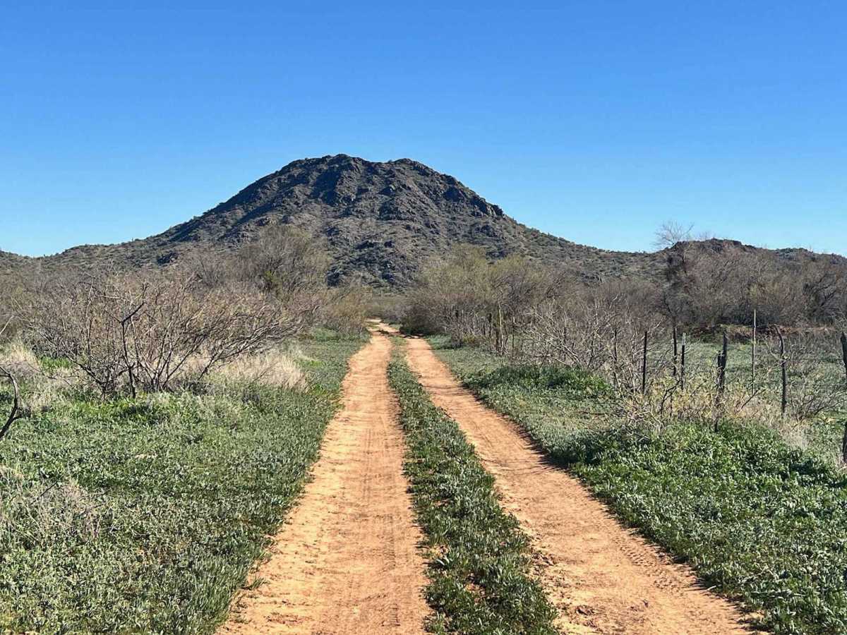 Ritter Tank Trail trail photo