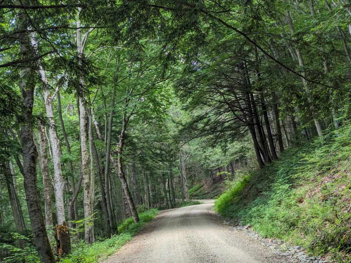 Cold Run Road photo 2
