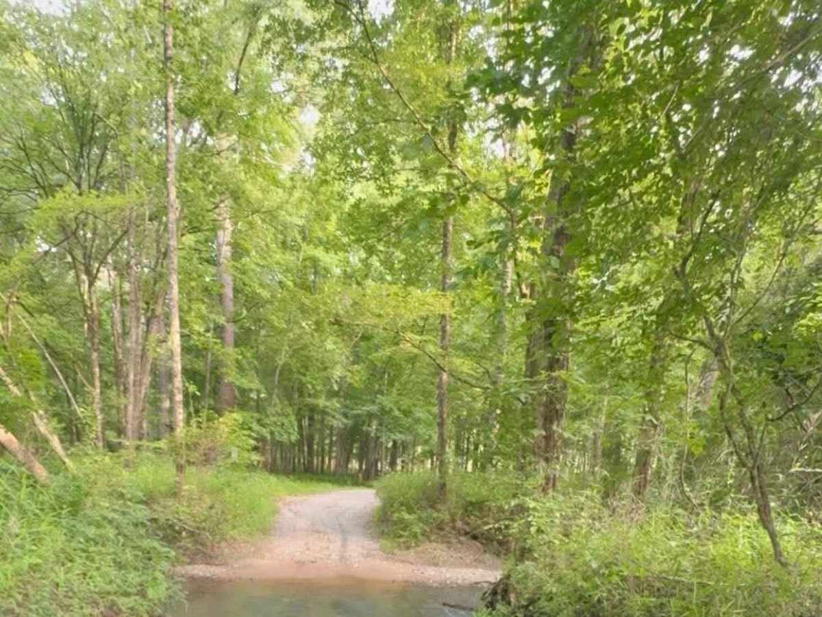 Bridge Out Trail photo 2